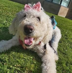 Meet your Posher, Michelle